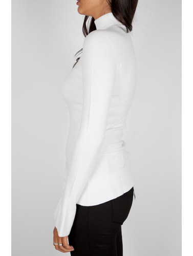 Pinko "AIACCIO LUPETTO" Knitwear Dolcevita